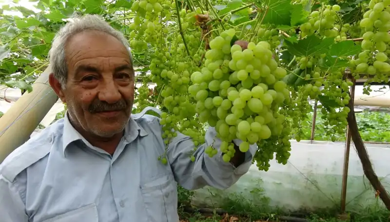 Zirai Don Felaketi Meyve Üretimini Tehdit Ediyor: Fiyatlar Yükselmeye Başladı