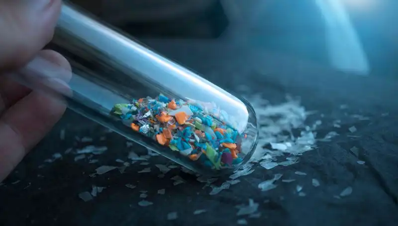 Mikroplastikler Beynimizde: Sağlığımız Üzerindeki Endişe Verici Etkileri