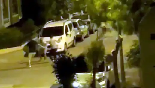 Avcılar'da Sokak Kavgası: 3 Kişilik Çeteye Vatandaş Müdahale Etti