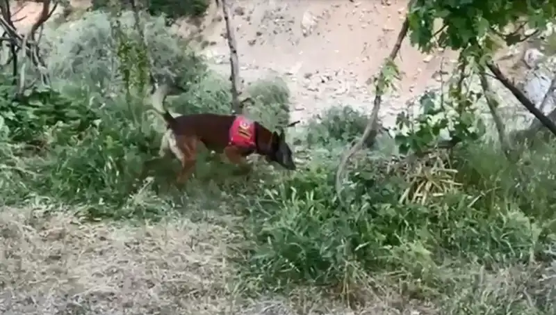 Dere Kenarındaki Gizli Esrar: Dedektör Köpekle Bulundu!