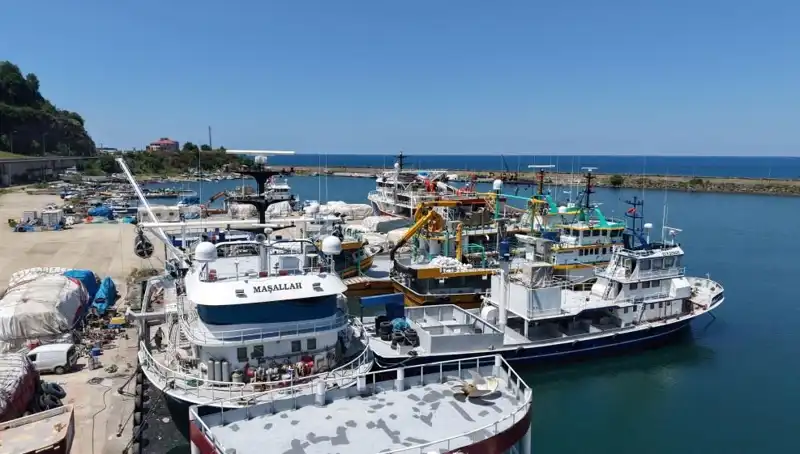 Karadeniz'de 1 Eylül: Yaz Etkinlikleri İçin Geri Sayım Başladı!