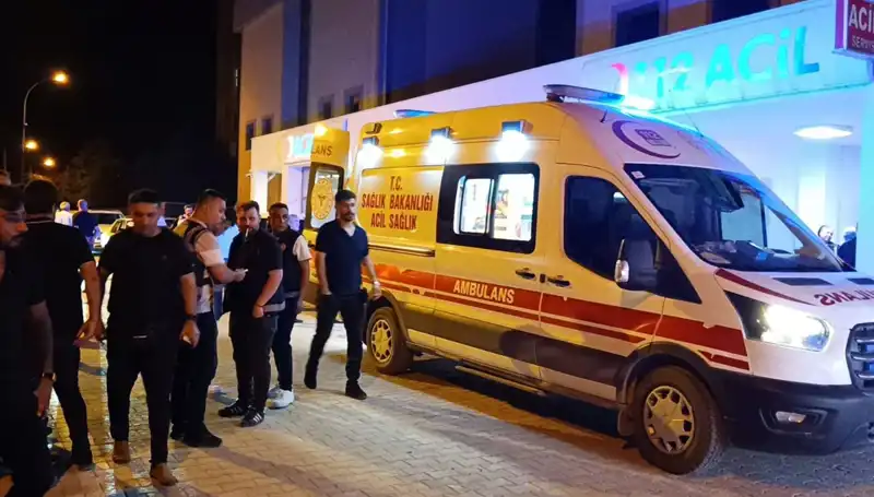 Kardeşini Koruma İçin Müdahale Eden Adam, Trajik Bir Sonla Yüzleşti