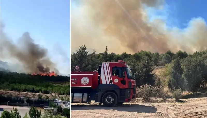 Gebze'de Korkutan Orman Yangını: Yangının Sebepleri ve Mücadele Süreci