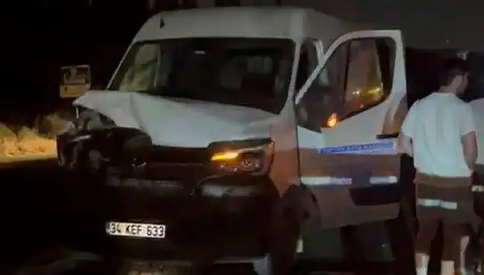 İstanbul’da Manda Kazası: Üç Kişi Yaralandı, Olayın Gerekçesi Belli Oldu