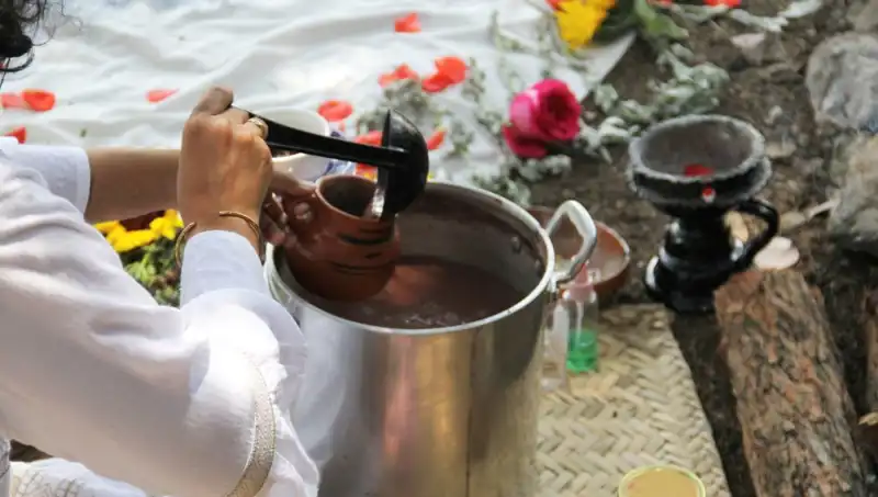 Ayahuasca: Gizemi, Etkileri ve Yasal Durumu Hakkında Bilmeniz Gerekenler
