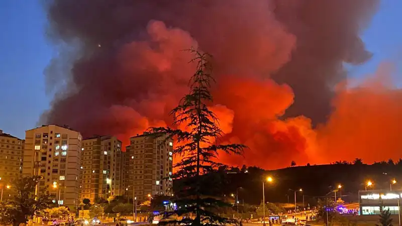 Bursa’da Yangınlar Şehri Sardı: Yangınların İzleri Nereye Kadar Uzandı?