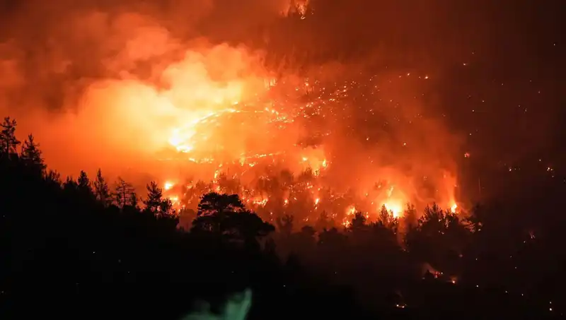 Bursa ve Balıkesir Sınırındaki Orman Yangını Kontrole Alındı!