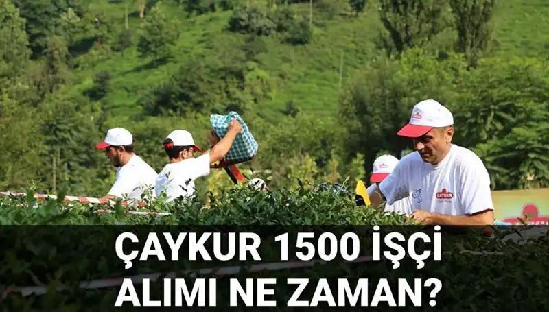 Çaykur İşçi Alımı Başvuru Tarihleri ve Genel Bilgiler