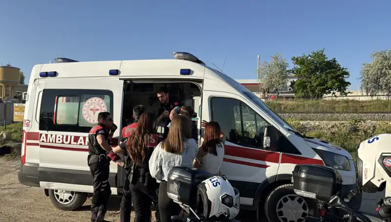 Hayata Tutunmanın Sırrı: Arkadaşının Daldan Uzattığı Destek