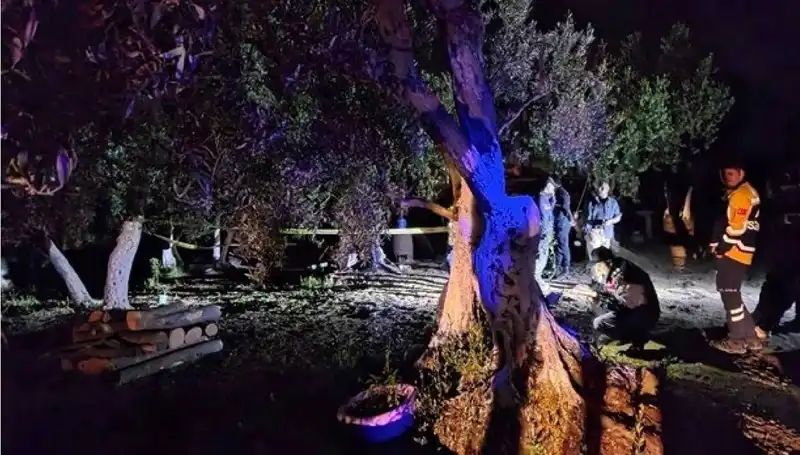 Çiftlikteki Baltalı Vahşette Şok Gelişme: Bir Kişi Tutuklandı