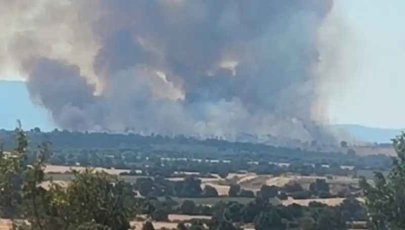 Edirne’yi Karanlıklar İçinde Bırakan Komşu Orman Yangını