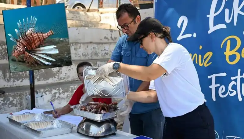 Antalya'da İstilacı Aslan Balığı Avlama Yarışması: Doğa Koruma ve Eğlence Bir Arada