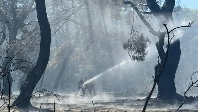 Çanakkale, Antalya ve Hatay’daki Yangınlar Sonunda Kontrol Altına Alındı!