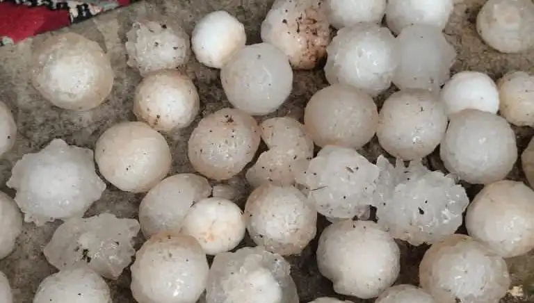 Şanlıurfa’da Kar Topu Büyüklüğünde Dolu Yağışı, Hayatı Olumsuz Etkiledi!