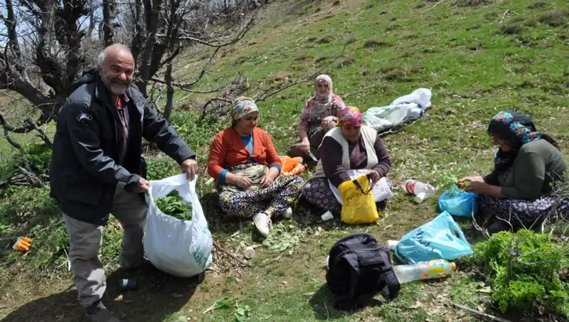 Yılda 5 Saat Yürüyüşle Kazanılan Eşsiz Kazanç: Kilosu 250 Lira!