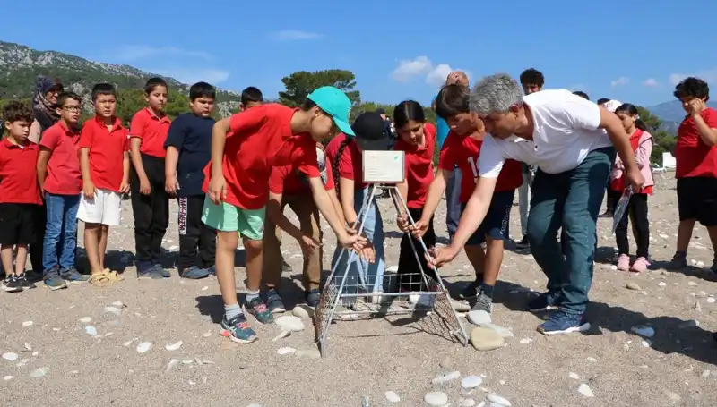 Kemer'de Caretta Caretta Koruma Yasakları Uygulamaya Geçti