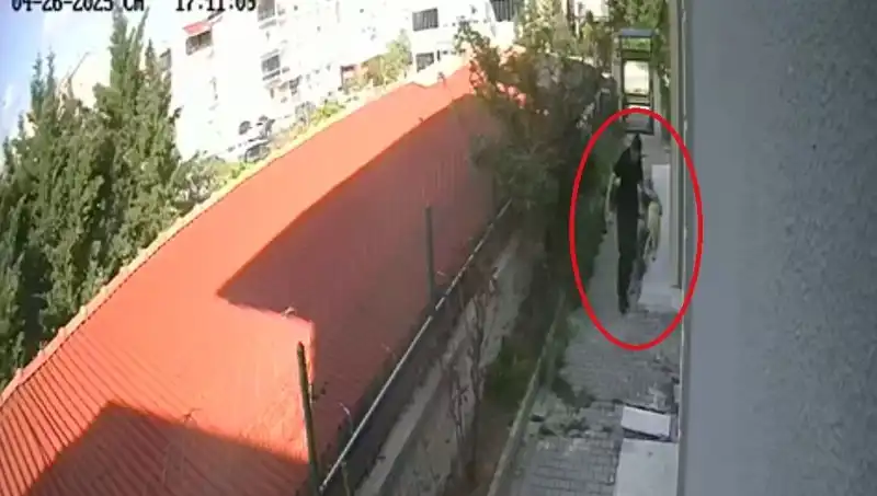 Veteriner Doktor, Sahiplendiği Köpekleri Evde Parçalayıp Öldürdü!