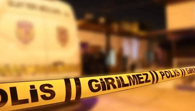 Diyarbakır'da Kayınpeder Faciası: Aile İlişkilerinde Korkutucu Sır