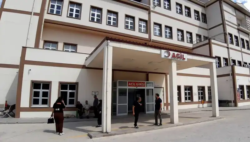 Bolu'da Ayı Avı Tartışması: Koruma mı, Kontrol mü?