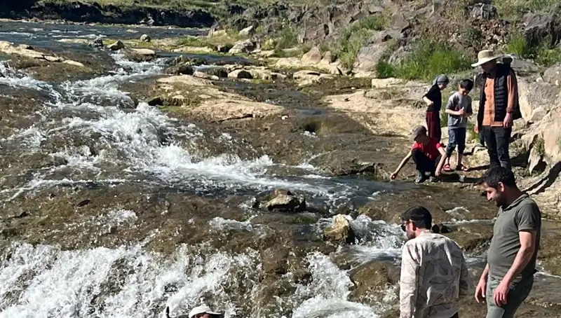 İnci Kefalinin Büyüleyici Göçü: Doğa ve Turizmin Kesişimi