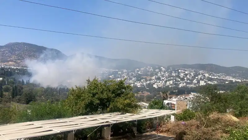 Muğla'da Orman Yangınları Kontrol Altına Alındı: Yeni Gelişmeler