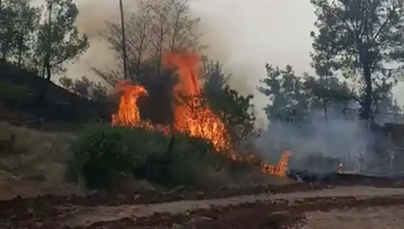 Denizli'de Korkutan Orman Yangını: Doğa 7 Hektar Alanını Kaybetti