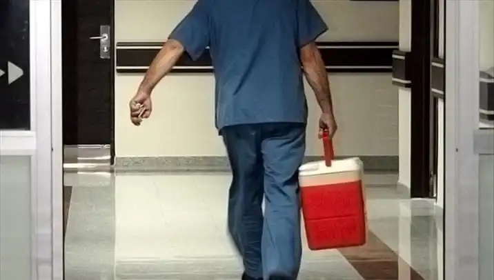 Organ Bağışında Dijital Devrim: e-Devlet ve e-Nabız ile Kolaylaşan Süreç