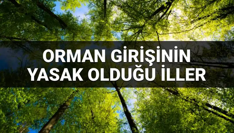2025 Yılında Orman Girişine Yasaklanan İller Hangileri?