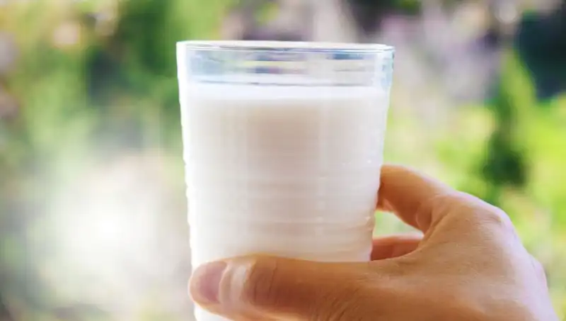 Uzman Doktorun Açıklaması: Süt Şişkinliğe Neden Olur Mu?