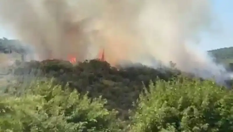 İstanbul'da Orman Yangını: Belediye ve Vatandaşlar Eyleme Geçti