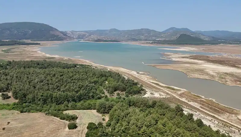 İzmir'de Tehlike Çanları: Geçen Yıla Göre Yüzde 50 Düşüş Gerçekleşti