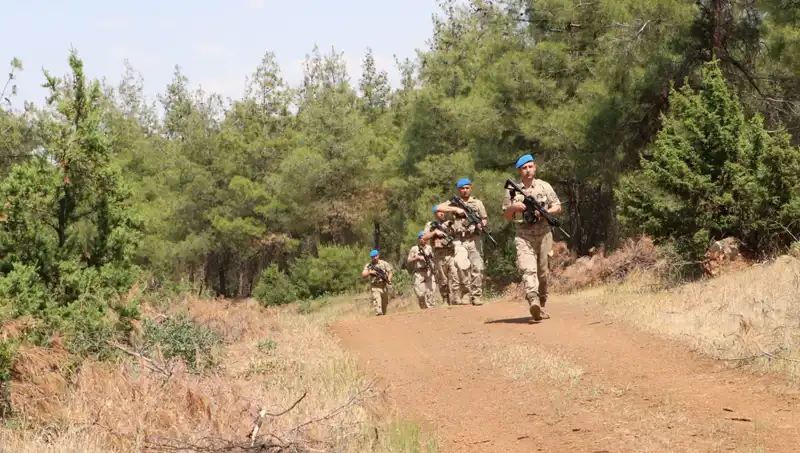 Kilis'te Orman Yangınlarına Karşı Alınan Önlemler ve Denetimler