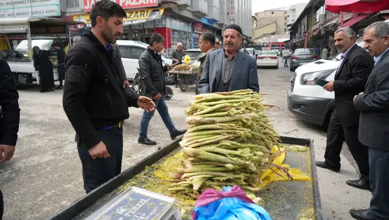 Şekerin Şaşırtan Faydaları: Kanser ve Mide Hastalığına İyi Geliyor!