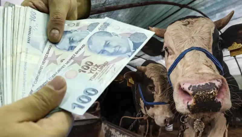 Kurban Bayramı Öncesi Emekli ve Memur Maaşlarına Müjdeli Haber!