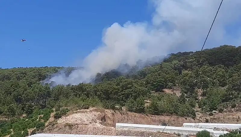 Kumluca'da Kontrol Altına Alınan Orman Yangını, Doğayı Tehdit Ediyor
