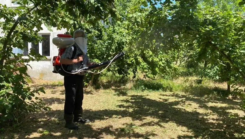 Çiftçilere Umut Olacak: Kükürt ve Samuray Arısının Mücadiresi