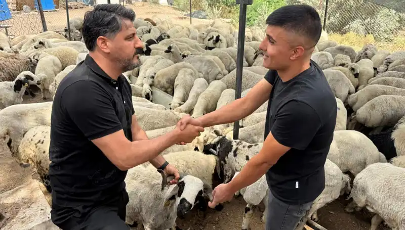 Kurbanlık Alırken Dikkat Edilmesi Gereken Tuz ve Sumak Taktikleri