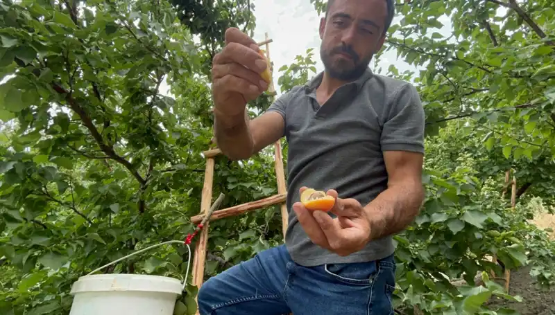 Türkiye’nin Rastgele Sırlarından: 50 TL'ye 70 TL Arasında Satılan Eşsiz Lezzet