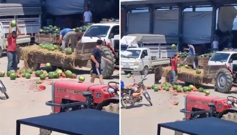 Karpuzları Yere Atıp Parçalayan Çiftçilere Kötü Bir Uyarı Geldi