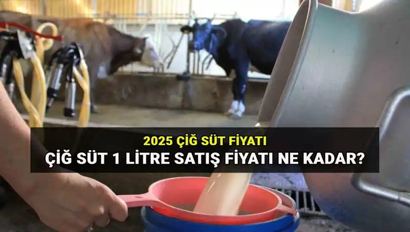 2025'te Çiğ Süt Fiyatları: Ulusal Süt Konseyi'nin Öngörüleri Neler?